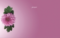PHO109