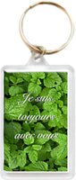 PORCLE105