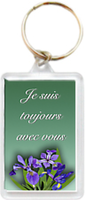 PORCLE108